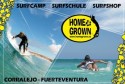 Homegrown Surfcamp (Fuerteventura, Spanien)