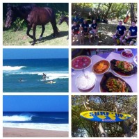 Bobos Surf's Up surf camp (Cabarete, República Dominicana)