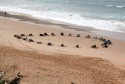 Happy Day Surf Camp (Porto, Portugal)