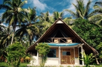 Hollow Tree's Resort (Mentawai, Indonesia)
