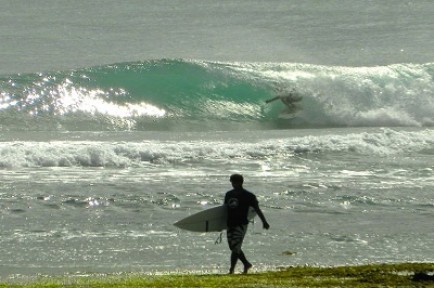 surfcamps South America Brazil Ecuador