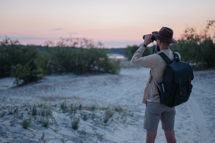 Surf Camp Search