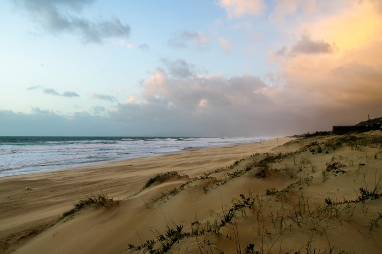 Surf Camps in Moliets