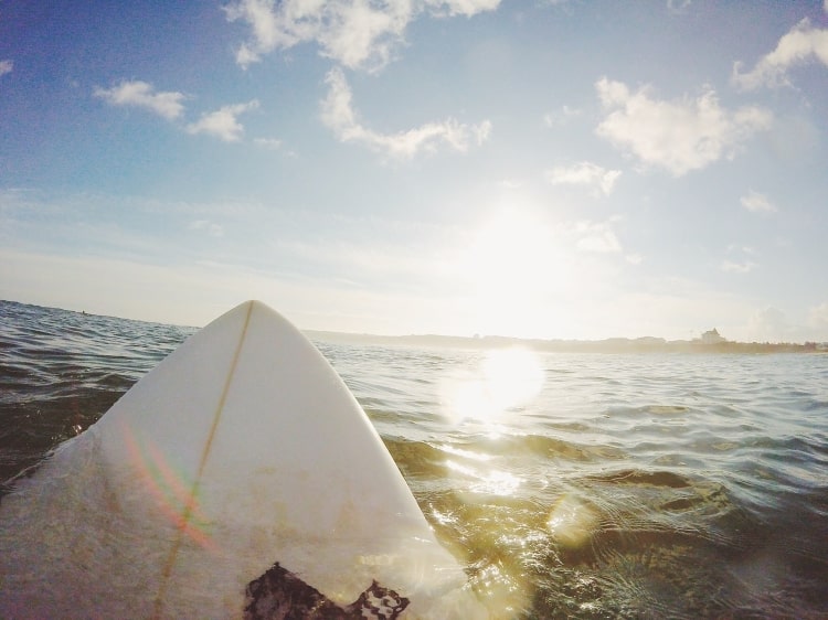 surfboard ocean nose freedom