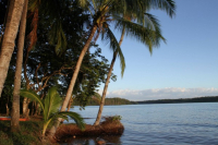 Private Panama Surf Island (Puerto Yurre, Panama)