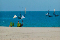 Muelle Viejo Bungalows (Los Organos, Peru)