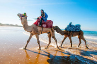 Chillout Surf (Taghazout, Morocco)