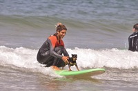 Manzili surfhouse (Tamraght, Morocco)