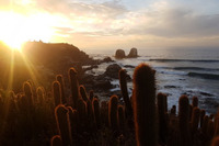 Olas de Chile Ecocamp (Pichilemu, Chile)