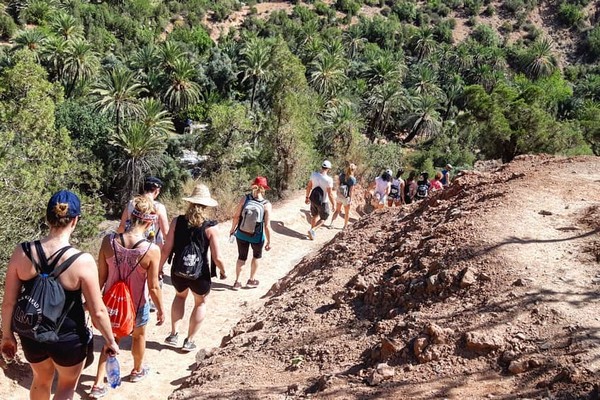 JUNGLE JUMPER MAROC