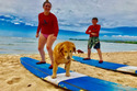 Sunset Suzy Surfschool (Hawaii, Vereinigte Staaten)