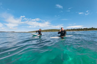 Salty Safaris (New S. Wales)
