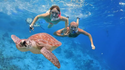 Dream Inn Maldives (Aceh, Maldivas)