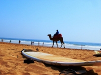 Surf Coast Morocco (Taghazout, Morocco)