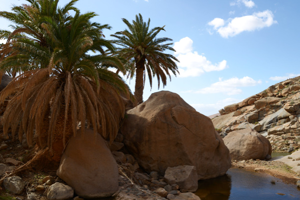 Surf Institute (Fuerteventura, Spanien)