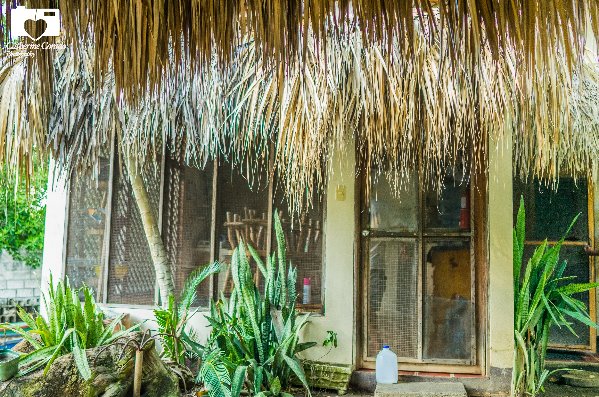 Surf Shack Iztapa Surf In Guatemala