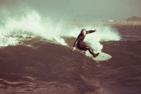 Arctic Surfers (Reykjavik, Islandia)