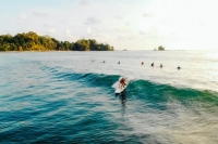 Dominical Surf School (Dominical, Costa Rica)